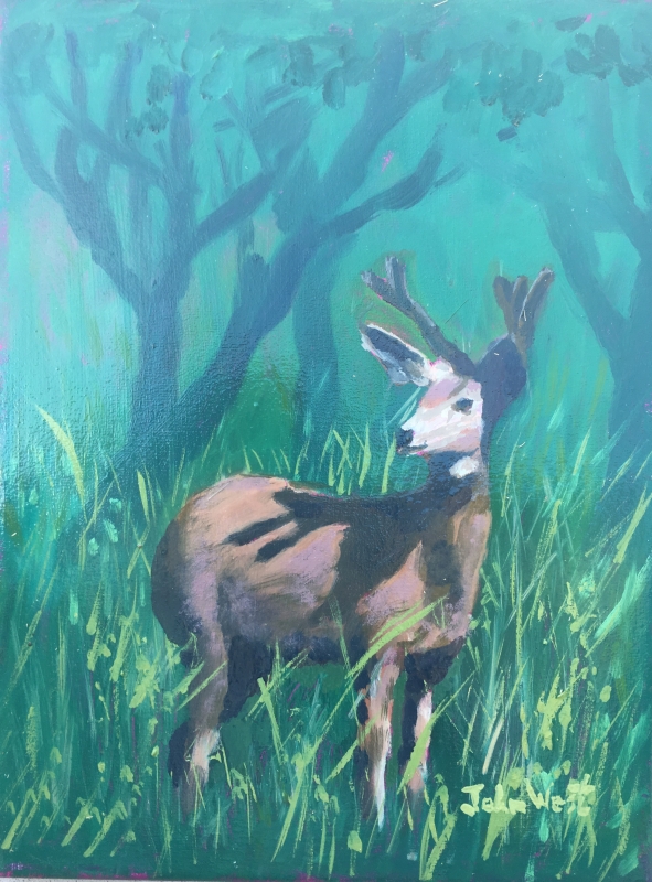 Forest Deer by artist John West